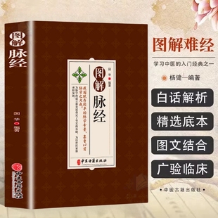 图解脉经全集 五脏六腑阴阳逆顺平三关阴阳二十四气脉脉理脉法脉象鉴别黄帝内经中医脉学中医临床脉诊辨证入门新解基础参考书籍