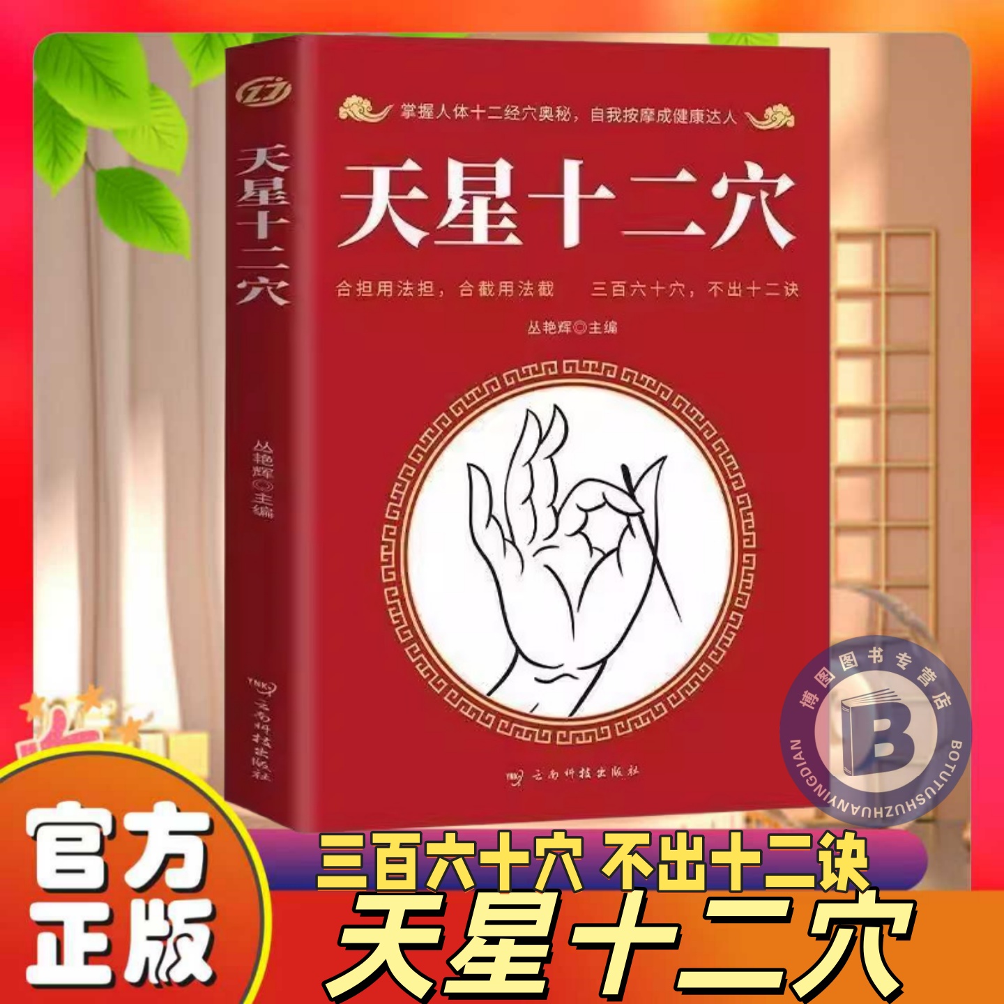 天星十二穴官方正版书籍