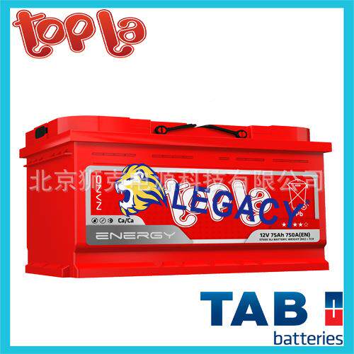 TPLA蓄电池 5PTOPLA蓄ZS65车 24V 48V675AOH7 叉牵引电池组