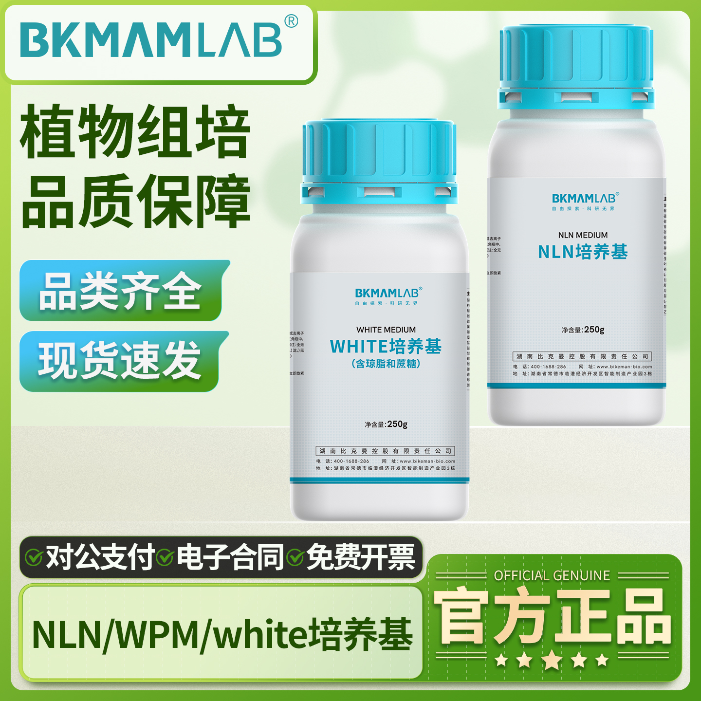 BKMAMLABwhite培养基NLN培养基