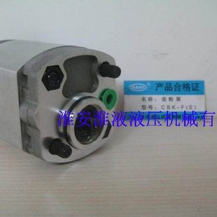 2021动力单元 CBK2078 2016 2042 齿轮泵 2048