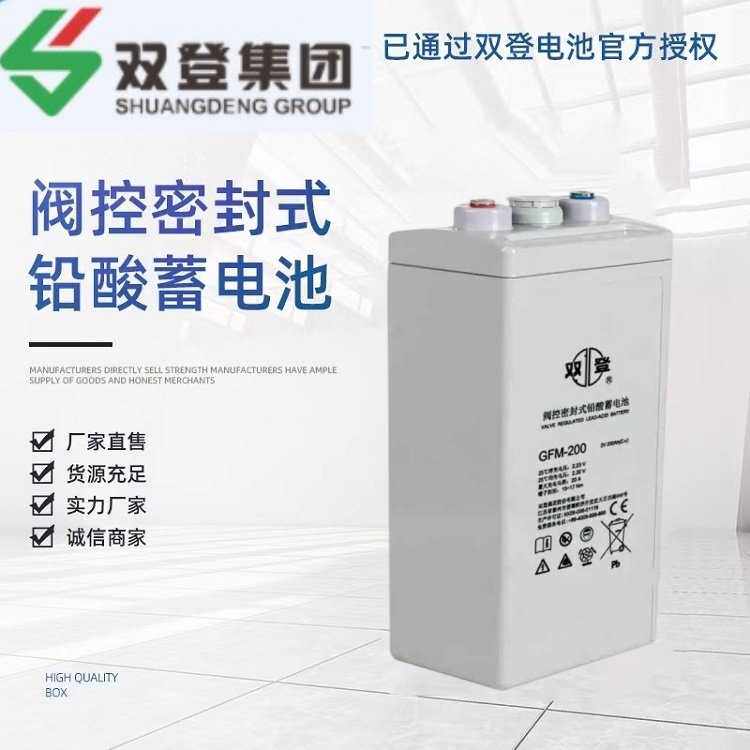双登铅酸蓄电池2V200AH免维护GFM-200 通信基站UPS电源太阳能机房