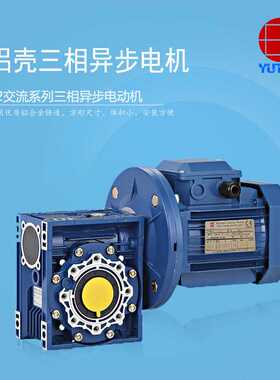 雨田370W三辊涂布机电机Y26344/RV040 三相异步电动机 铝壳马达