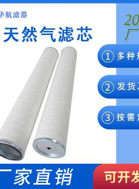 供应天然气滤芯 PCHG-536 聚结滤芯 天然气管道过滤器滤芯