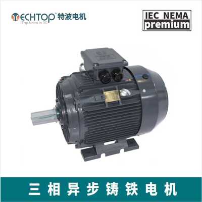 TECHTOP特波  注塑机橡塑设备专用低噪音电机  注塑专用电机
