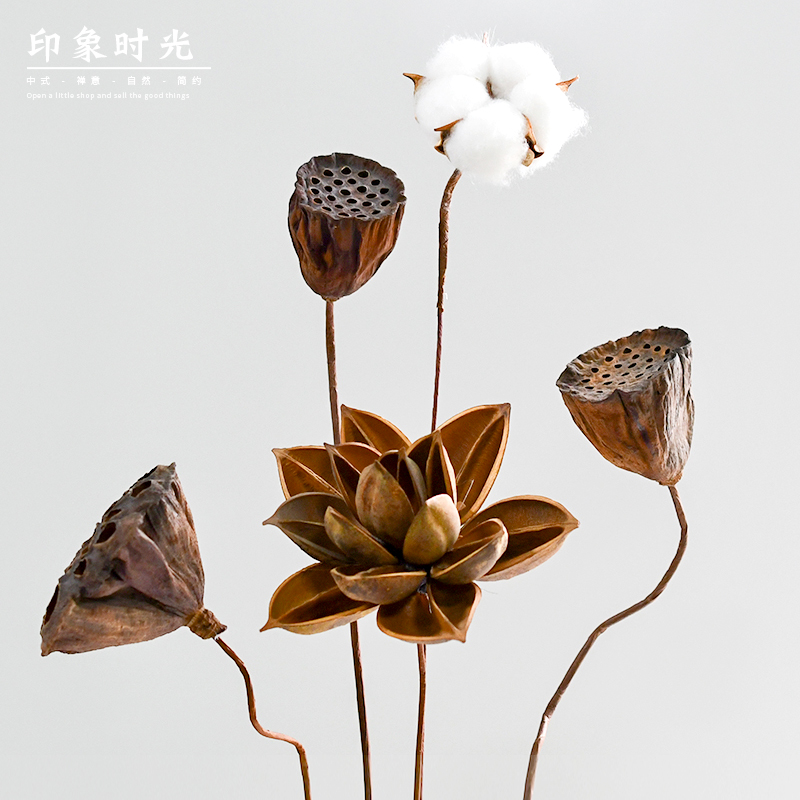 棉花干花c花束装饰摆件客厅摆设花瓶真花桌子家居拍摄道具莲蓬荷