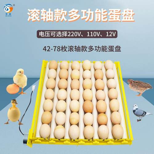 42枚56枚滚轴蛋盘全自动孵化机配件鸡鸭鹅鸟滚轴型蛋盘带翻蛋电机