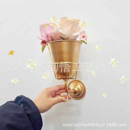 跨境新品Opal Wall Vessel挂钩花盆架一体金属创意壁挂家居装饰品