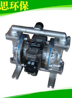 【Skylink不锈钢金属泵】LS15SS-AA-SP-SP-SP-00水处理化工泵