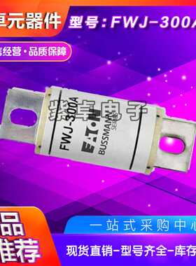 FWJ-200A 400FMM 710MMT 32FE熔断器