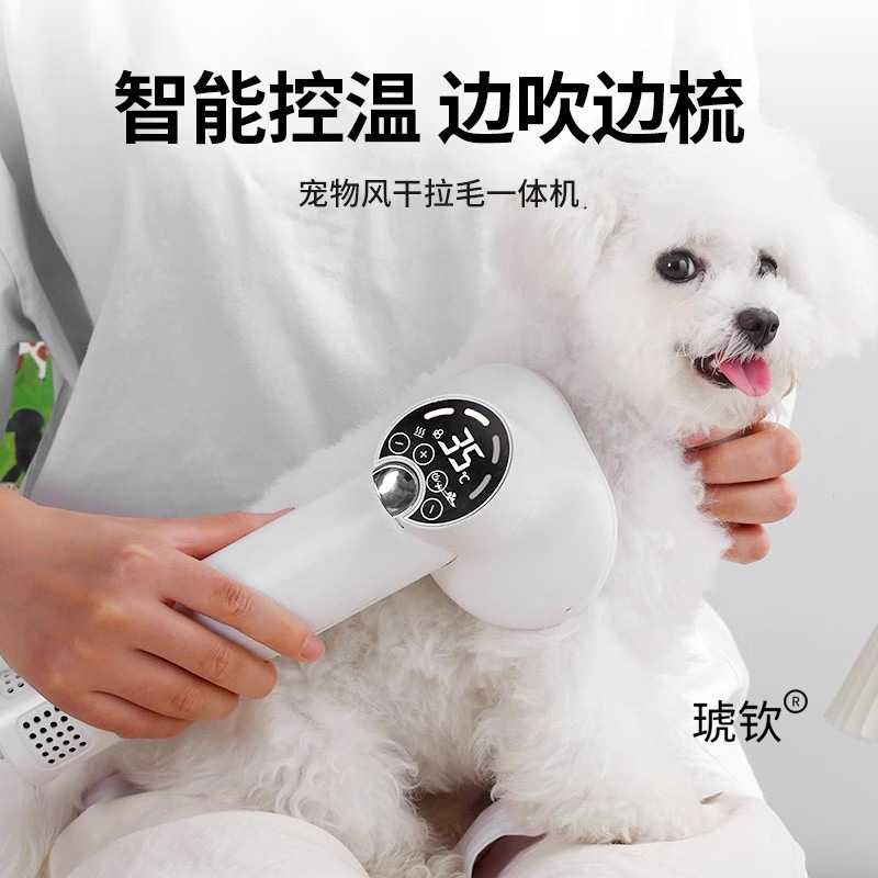 智能宠物吹风机吹梳一体机狗狗洗澡泰迪比熊猫咪博美专用吹毛神器