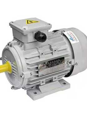 厂家供应MS-100L2-4 3KW 三相异步电动机 纯铜马达 清洗机电机 YS