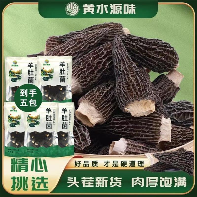 3-5cm干羊肚菌高山森林头