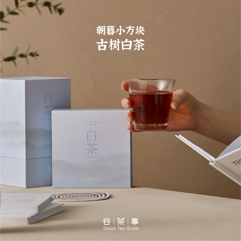 古树白茶2024年春云南白茶