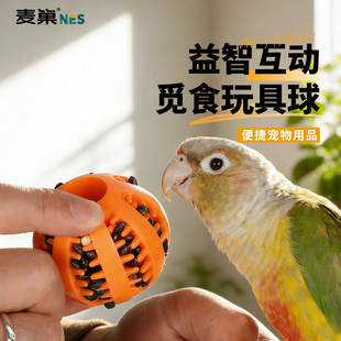 鹦鹉玩具球觅食啃咬磨牙嘴解闷自嗨小鸟防抑郁牡丹小太阳玄凤专用