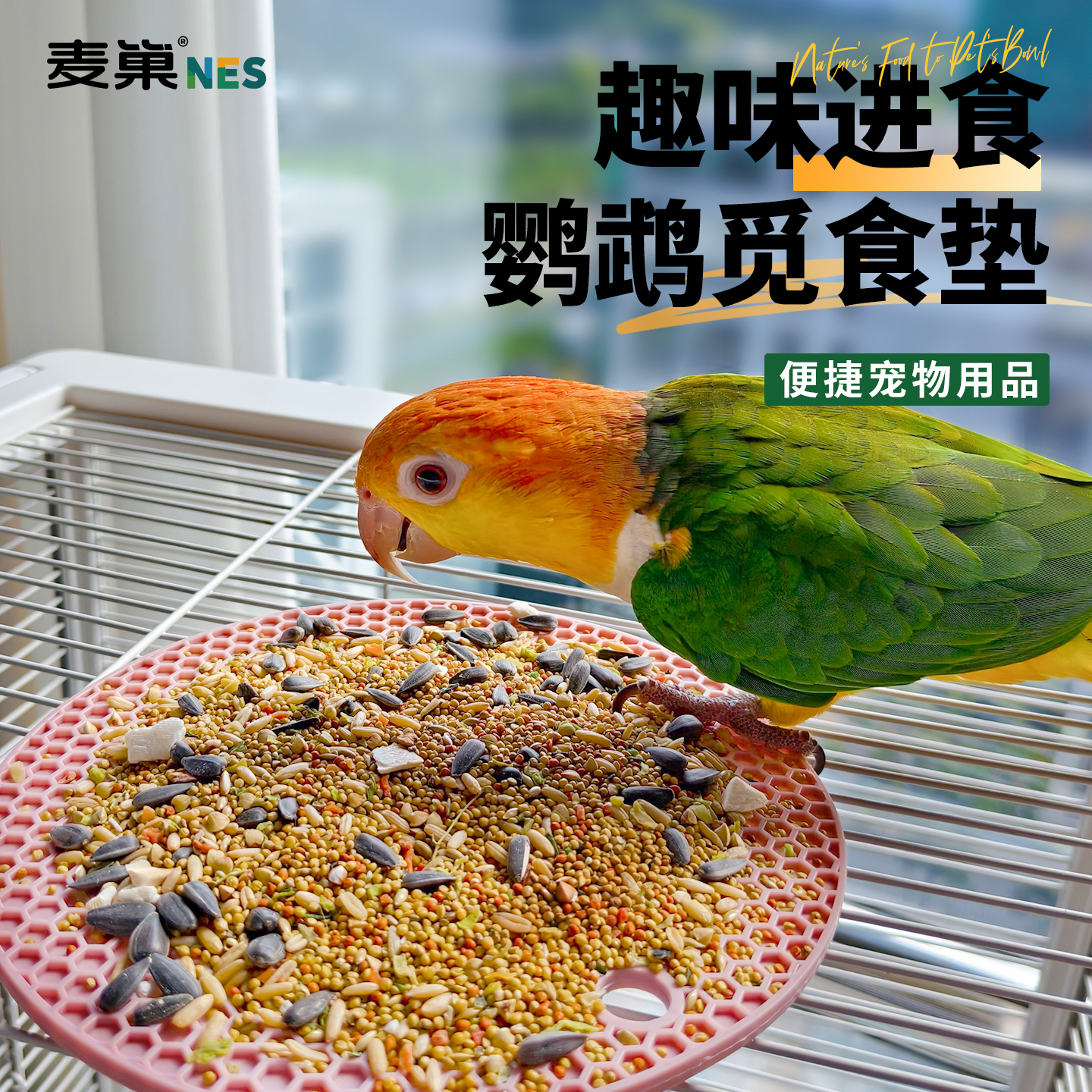 鹦鹉觅食盘鸟益智玩具咬慢食耐咬