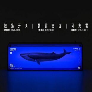 局部气候×非必要不合作限定联名款【一起漫游】电气灯