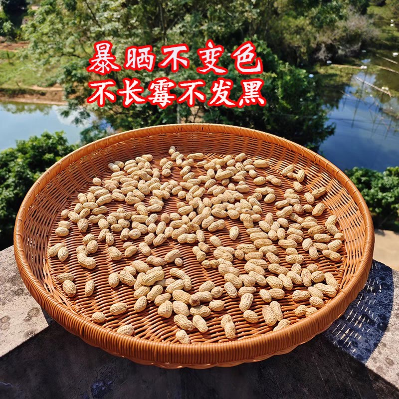 纯手工藤编d织簸箕晒框大容量圆形家用晒干货辣椒萝卜鱼干收纳筐