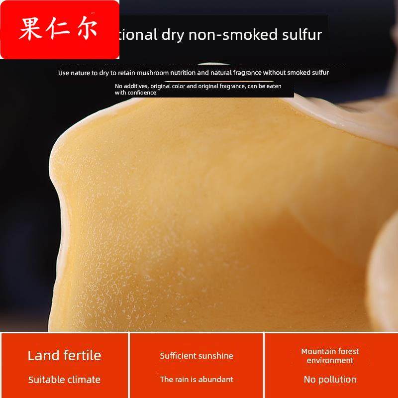 猪耳菌干货500克白木耳竹耳菌竹肚菌竹子菇兔耳菌酒店特色食材,粮油调味/速食/干货/烘焙,香菇类,淘宝优惠券,粉丝福利购,淘宝优惠卷