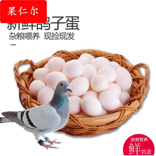 新鲜鸽子蛋10-50枚河南农家五谷杂粮喂养现捡现发鸽蛋顺丰包邮