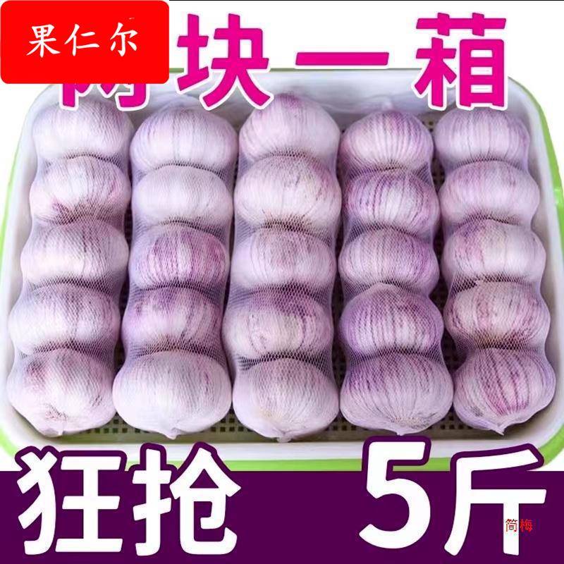 子山东十足红皮大蒜农家自种头干包邮新鲜干蒜紫皮大蒜