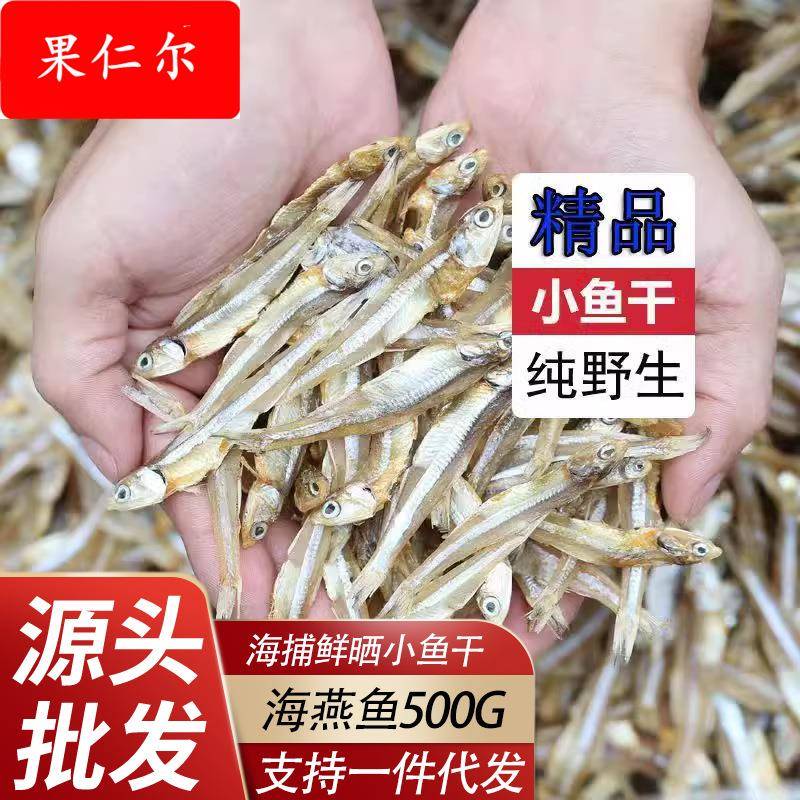 北海海风干晾晒白饭丁香鱼公干鱼白公鱼海燕鱼干海鲜厂家500