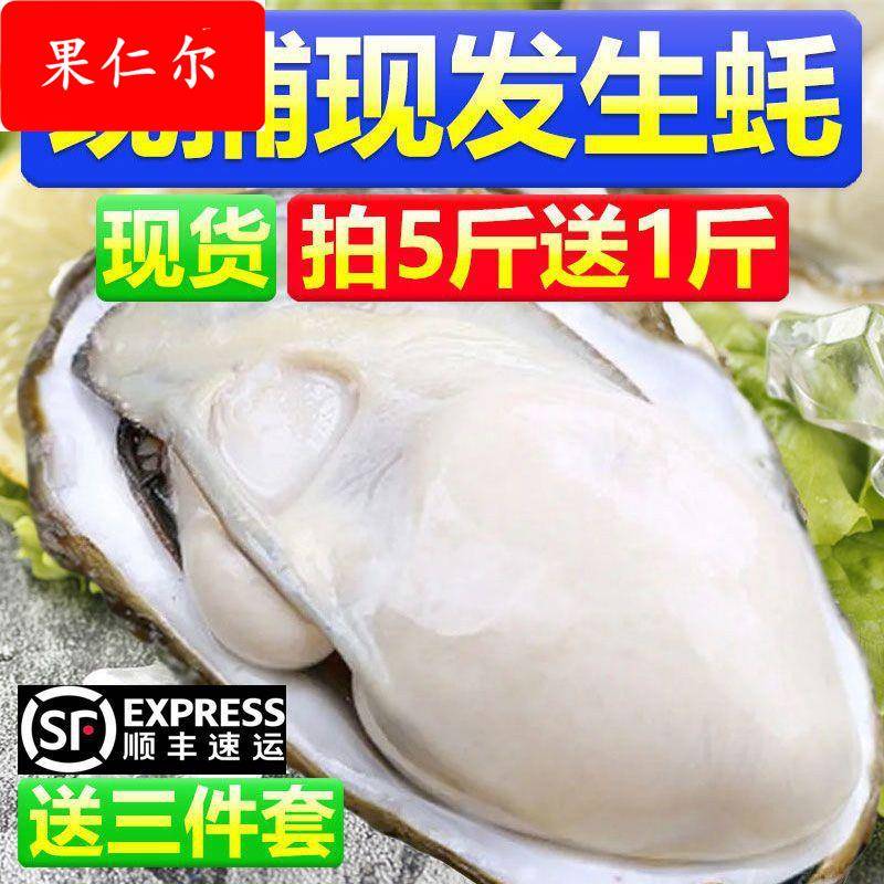 顺丰包邮乳山生蚝新鲜乳山牡蛎鲜活带壳海蛎子生蚝一整箱蛞蝓