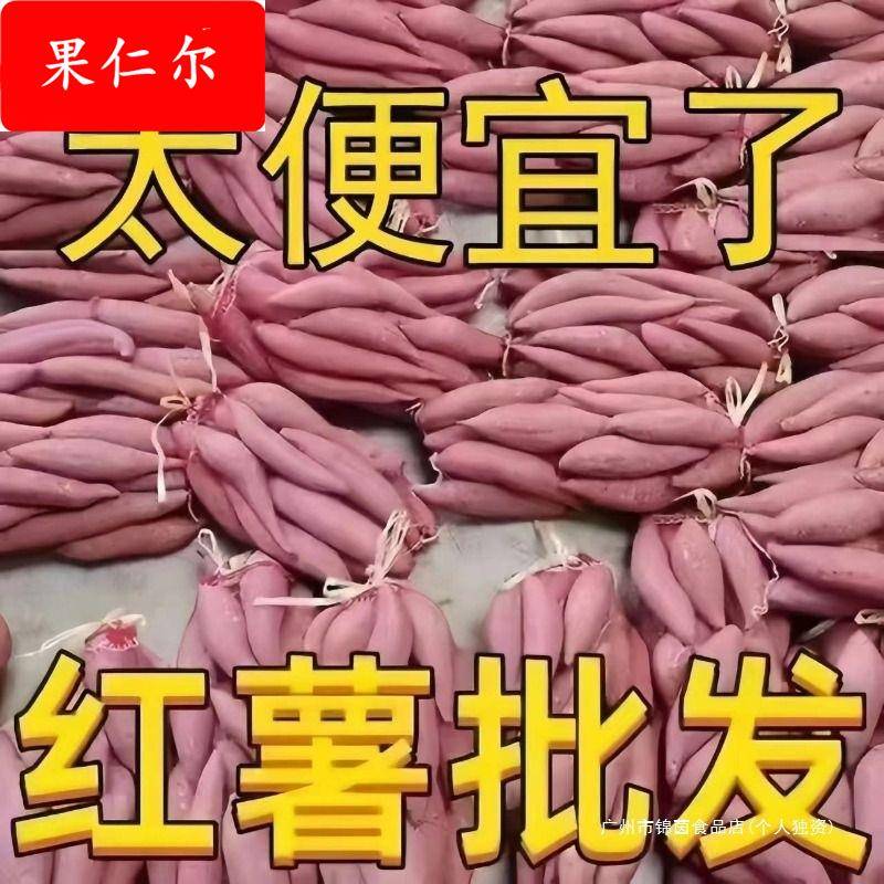 河南蜜薯糖心红薯9-10斤番薯农家沙地烤地瓜山芋流油黄心软糯