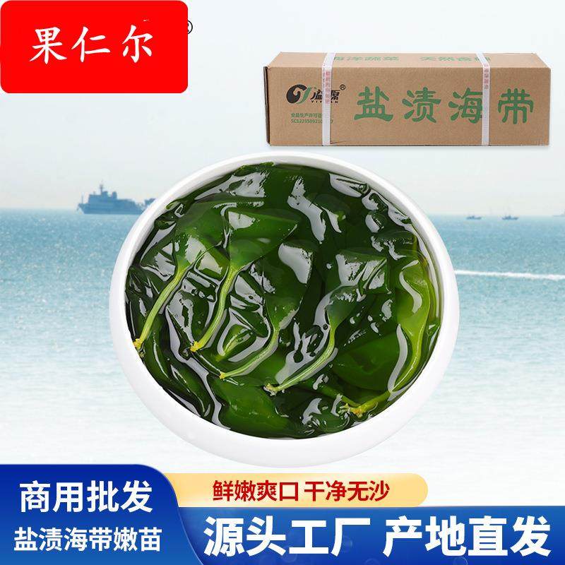 溢源海带苗嫩苗新鲜火锅凉拌餐饮海带芽20斤散装商用霞浦特产