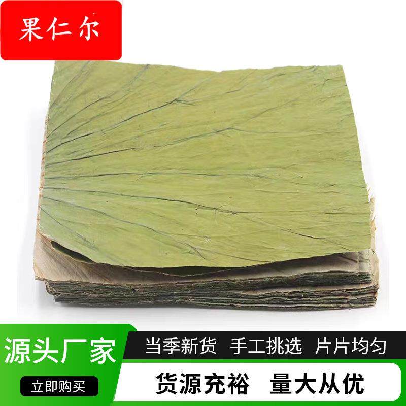 山东济宁微山湖荷叶整张新鲜商用蒸饭荷叶鸡 糯米鸡专用方形荷叶