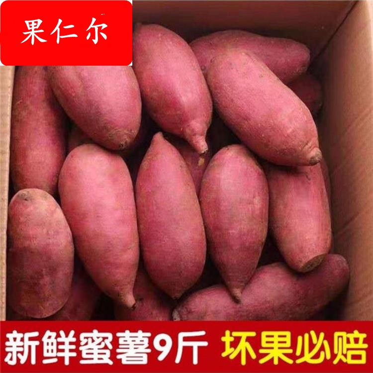 正宗西瓜红蜜薯新鲜糖心5斤板栗番薯沙地红薯地瓜蔬菜农家自种