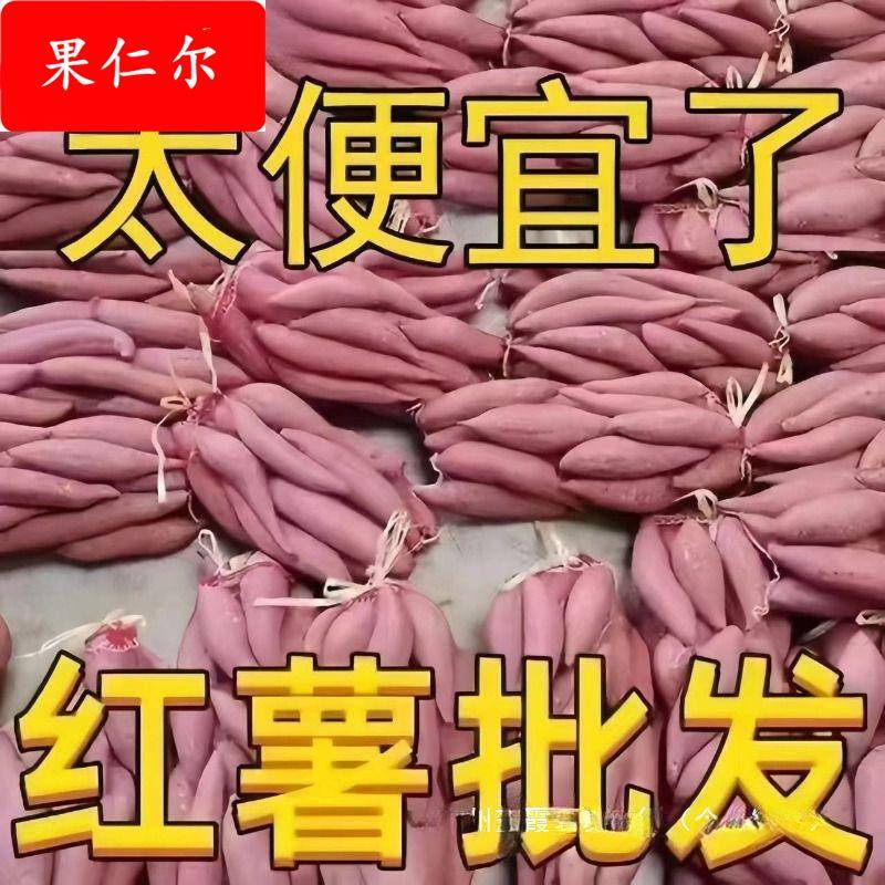 河南新鲜蜜薯糖心红薯9-10斤番薯农家沙地烤地瓜山芋流油黄心软糯