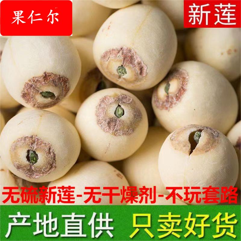新货带芯白莲子干货500特产湘潭湘莲子带心磨皮莲子有芯真货