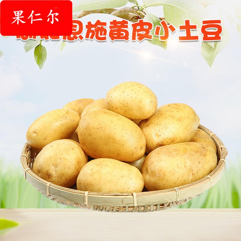 湖北恩施黄皮小土豆 3斤农家自种新鲜蔬菜粉面土豆非红皮土豆