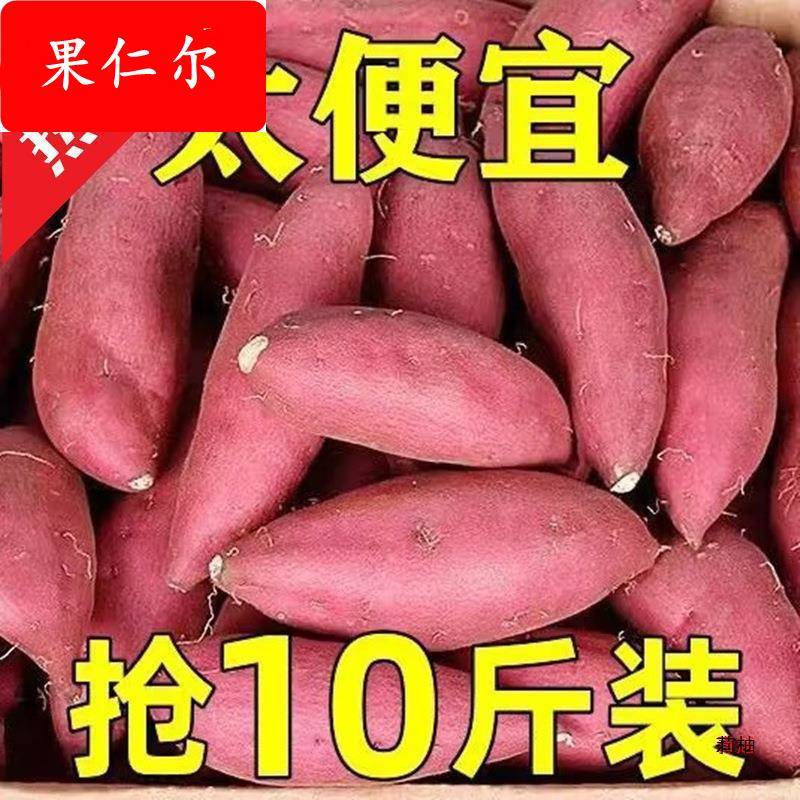 板栗红蜜薯新鲜现挖10斤当季山芋糖心沙地西瓜红著地瓜番薯5烟薯