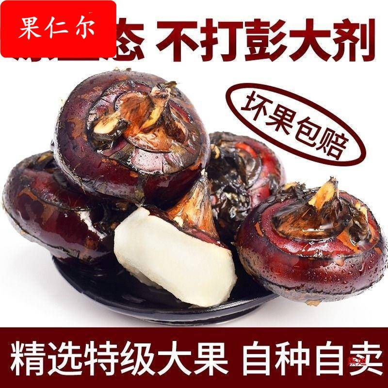 新鲜荸荠马蹄大果地栗地梨农家水果蔬菜马蹄果现挖可商用