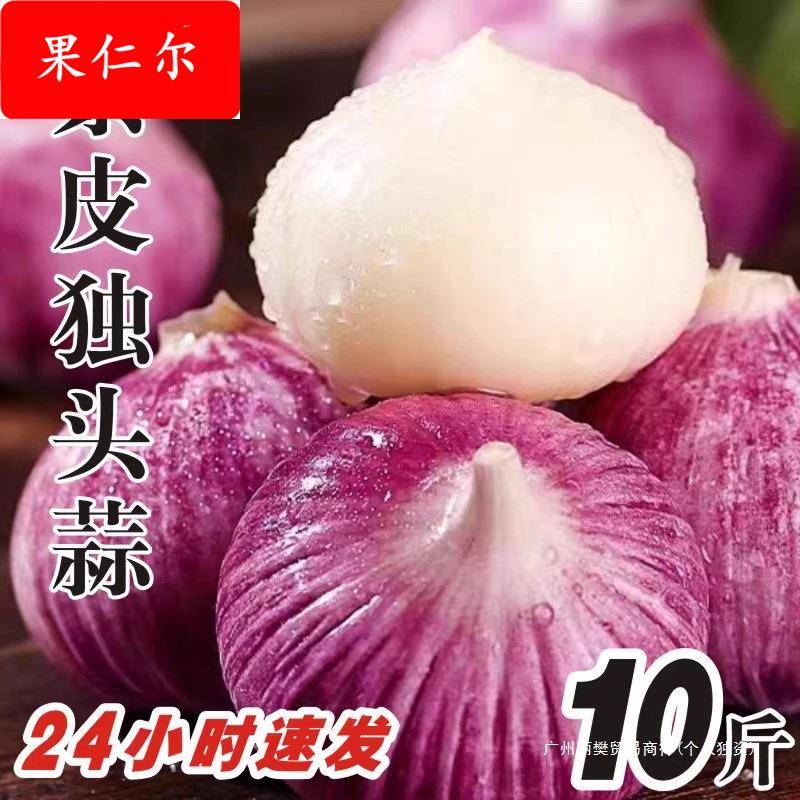 新云南独头蒜大蒜头新鲜干蒜紫皮圆头独蒜红珍珠辣蒜5斤蔬菜当季1