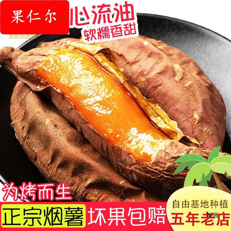 山东红薯新鲜烟薯25红心富硒地瓜农家沙地烤蜜薯糖心流油红芋5斤