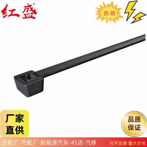 黑色铁氟龙扎带4.8*200mm特氟龙扎带耐高温自锁扎带TEFZEL 线束紧