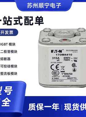 170M2610 巴斯曼 低压快速熔断器 全新原装 现货包邮