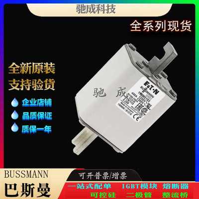 巴斯曼170M5193 170M5194 170M5195 厂家供货零售  快速保险丝