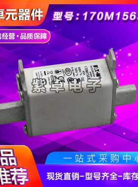 170M1558D 170M1559D 170M1560D 170M1561D 170M1562D快速熔断器