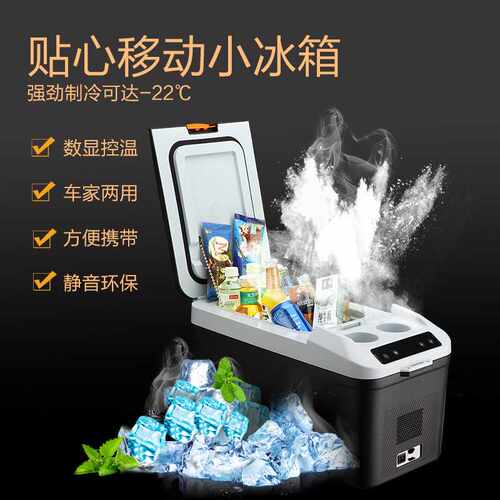 跨境迷你小冰箱车载冰箱压缩机制冷12V24V车家两用冷冻冰箱小型