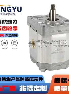 BONDIOLI齿轮泵HPLPA211DLLE3E3BST泵HPLPA214液压泵高压 油泵