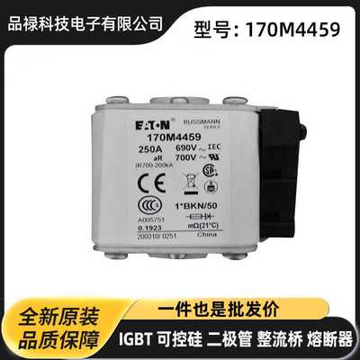 170M7142 170M7143 170M7144 170M7145原厂低压熔断器 熔芯