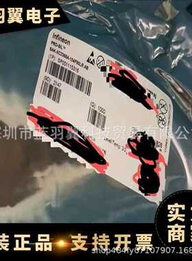 优势供应 SAK-XC2365A-104F80LR AB 封装QFP100 汽车芯片IC 现货