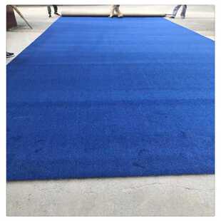 武术馆地毯支持LOGO加厚弯头纱地毯咖啡馆餐厅进门口广告地毯