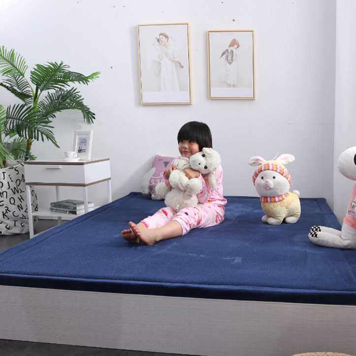 厂家 加厚纯色珊瑚绒地毯防滑地毯榻榻米日式地垫 可定制异形