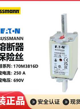 BUSSMANN保险丝170M3815D 170M3816D 170M3817D/3818D/3819D 250A