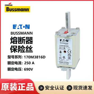 BUSSMANN保险丝170M3815D 170M3816D 170M3817D/3818D/3819D 250A